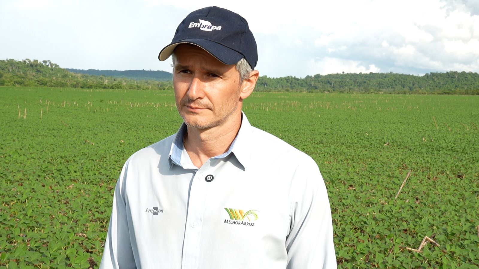 Arroz de terras altas se torna opção atrativa de 2ª safra entre produtores do norte de Mato Grosso