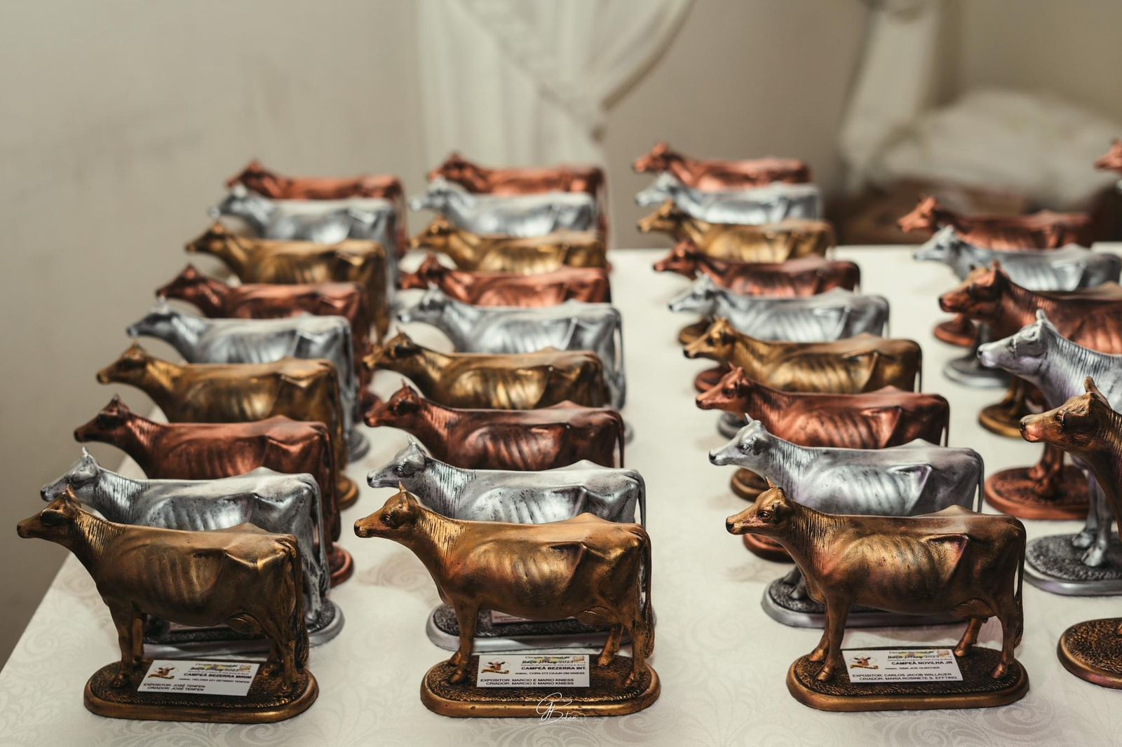 Curitiba se papara para ser o palco de uma celebração inesquecível para a pecuária leiteira. Uma noite de gala para homenagear os destaques do ano em um evento que mistura tradição, emoção e reconhecimento.