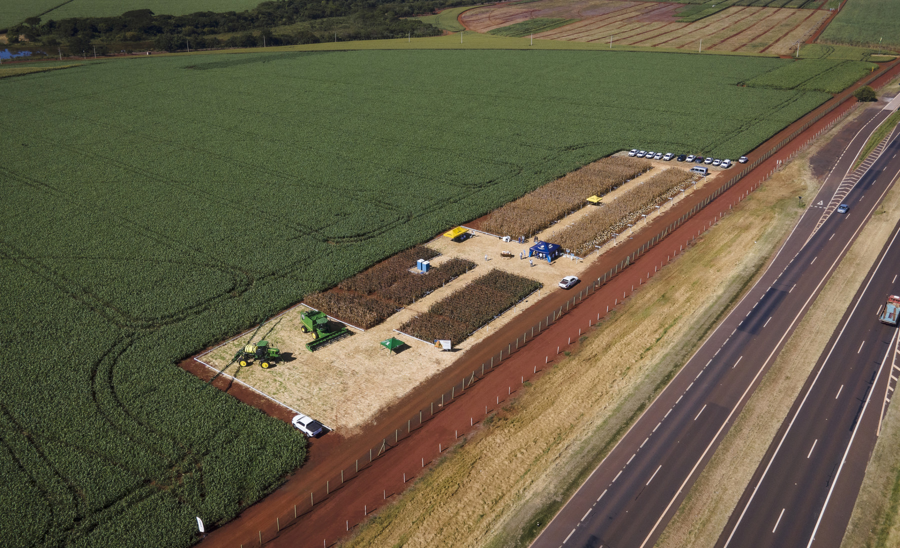  Shulll mantém programa de melhoramento genético de milho e sorgo em seu Centro de Pesquisas 