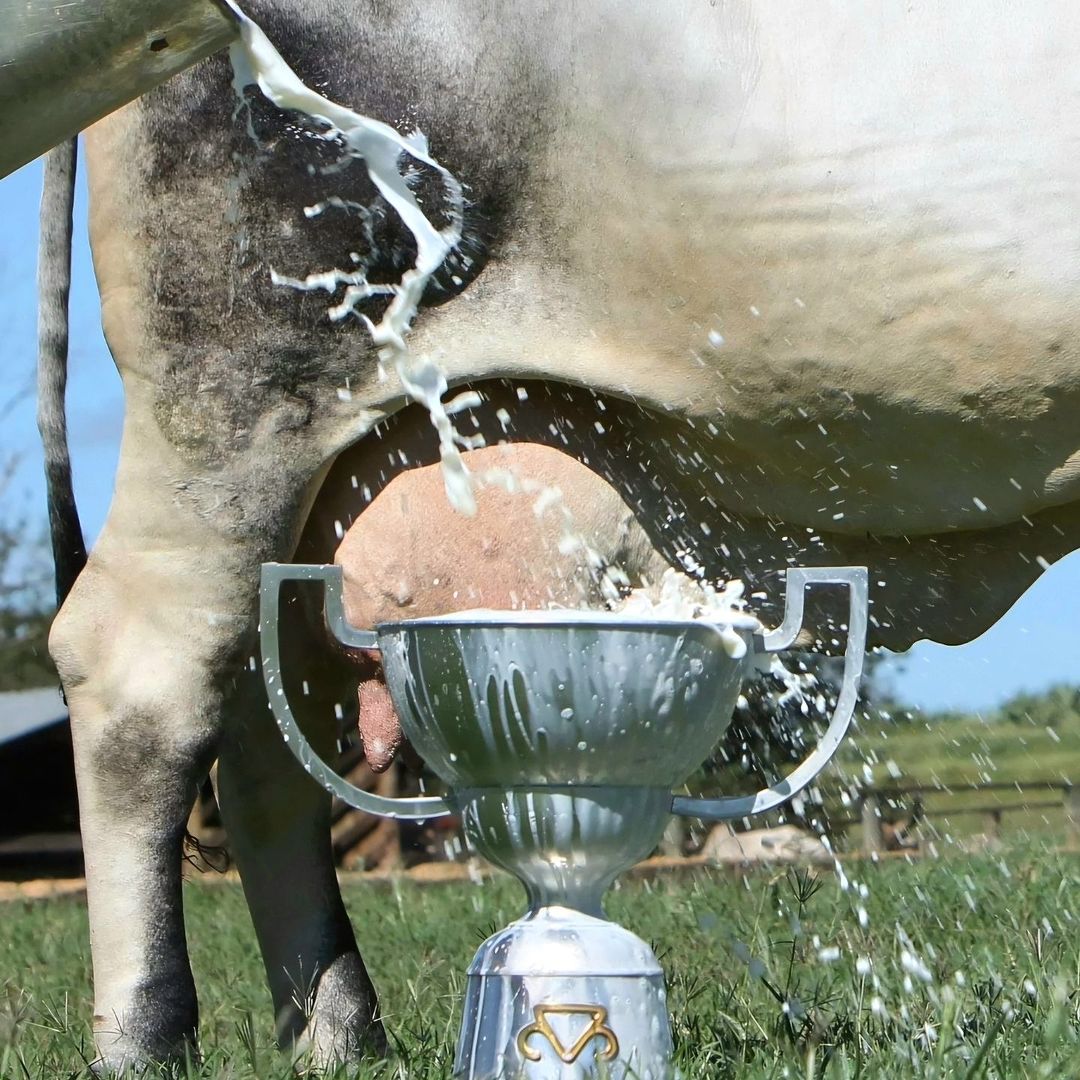 Laje FIV Boa Lembrança