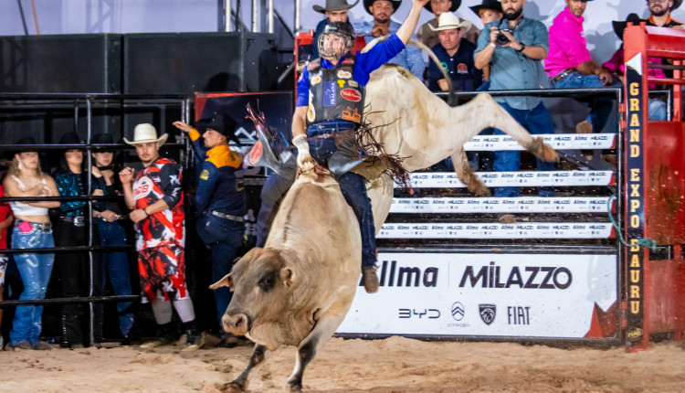 Touro de Rodeio Sabirila Jr da Cia Gutt Bulls