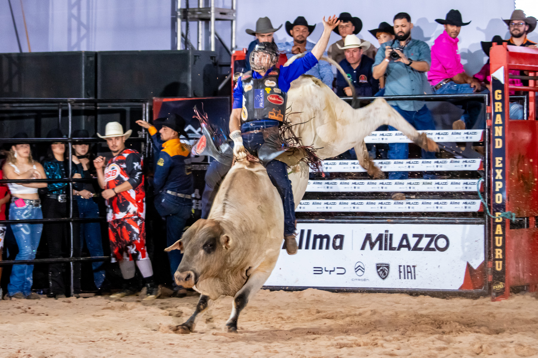 Touro de Rodeio Sabirila Jr da Cia Gutt Bulls
