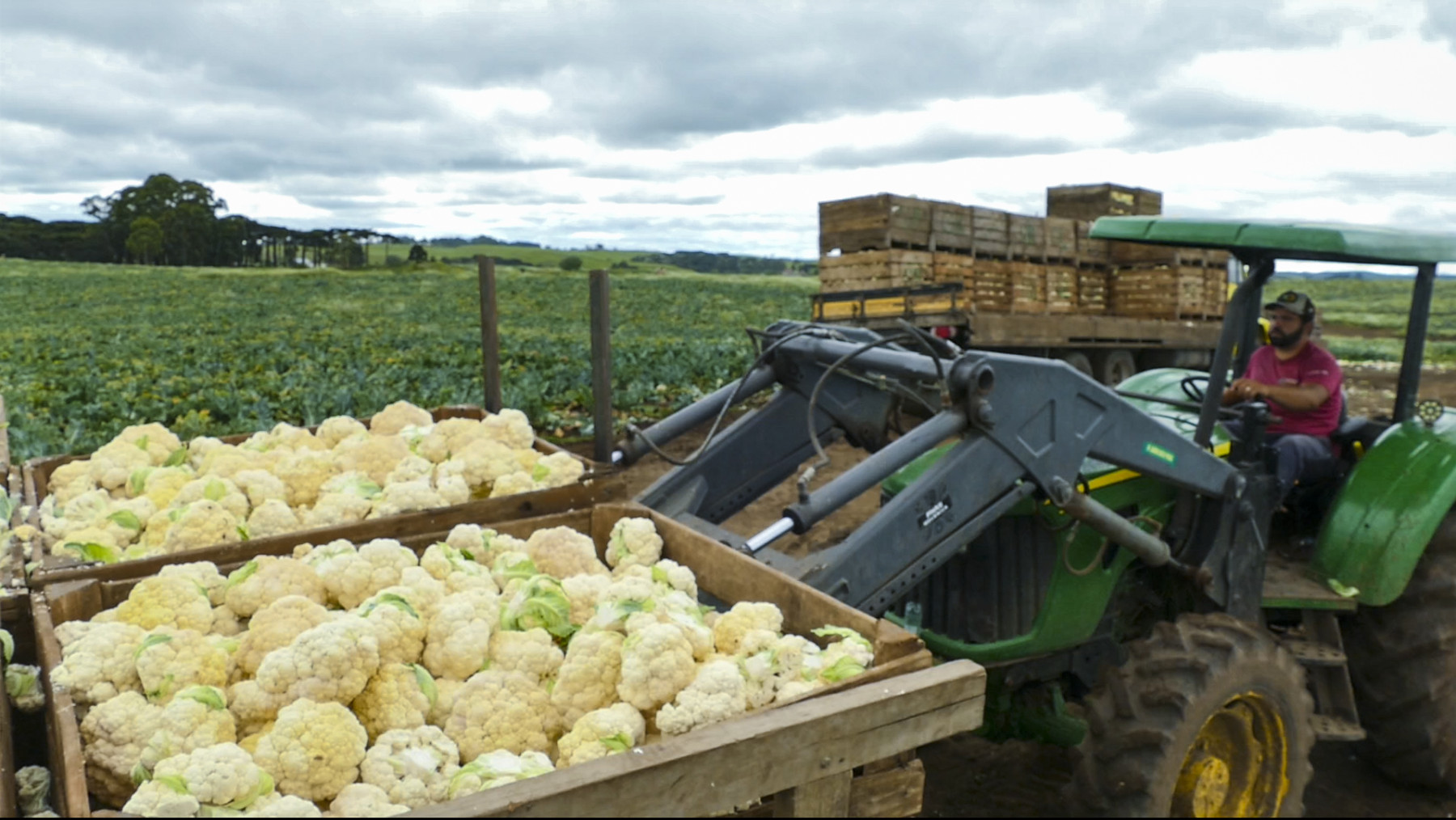 Grano Alimentos realiza parceria com mais de 100 agricultores familiares por meio de compras recorrentes e suporte técnico