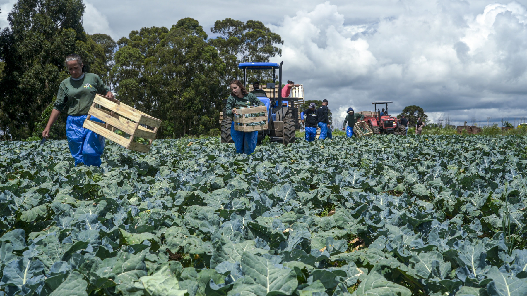 Grano Alimentos realiza parceria com mais de 100 agricultores familiares por meio de compras recorrentes e suporte técnico
