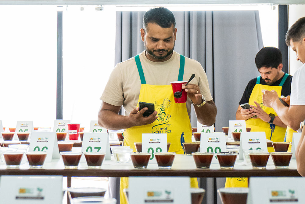 Café especial: Cup of Excellence define amostras para fase internacional