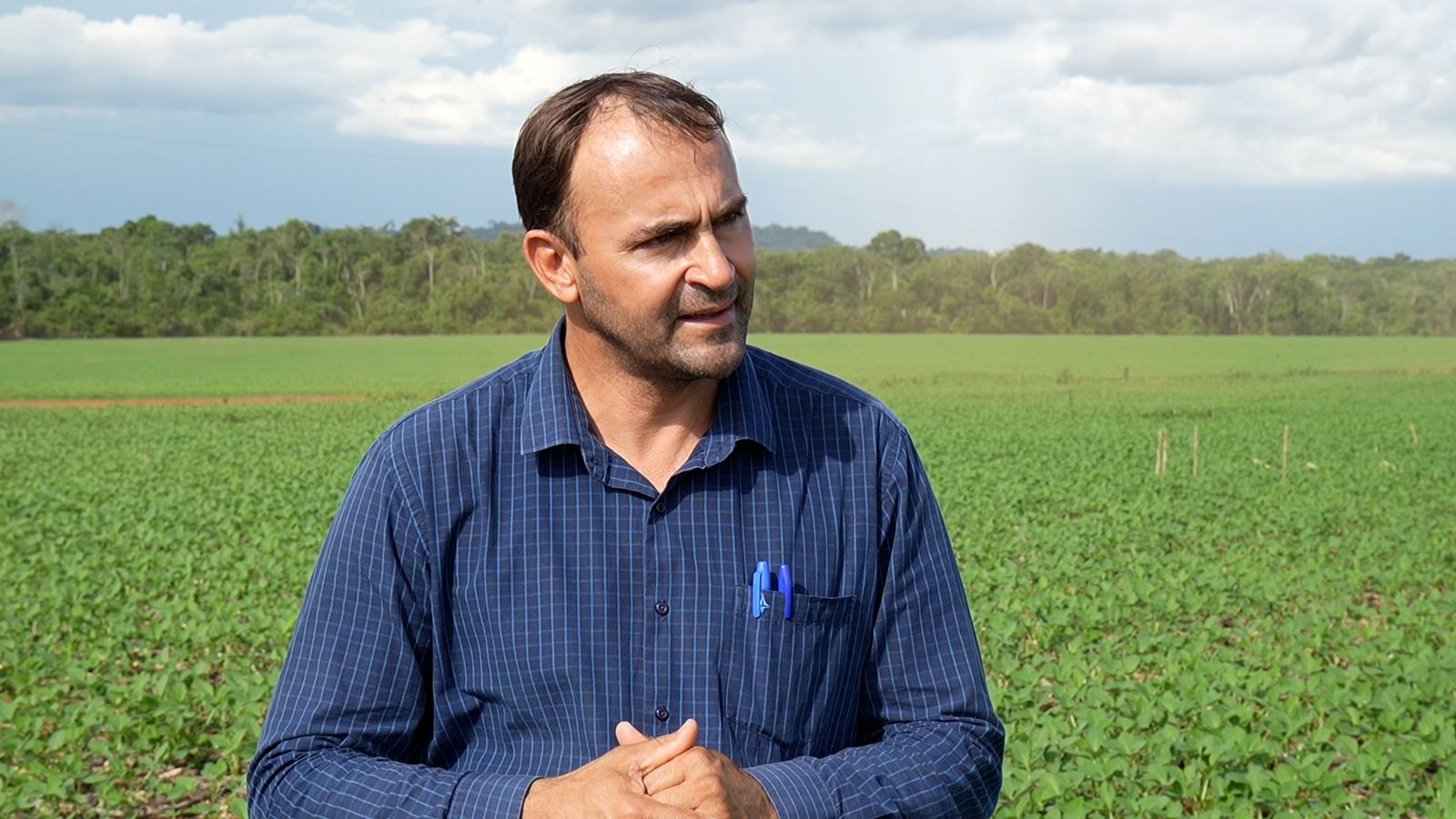 Arroz de terras altas se torna opção atrativa de 2ª safra entre produtores do norte de Mato Grosso