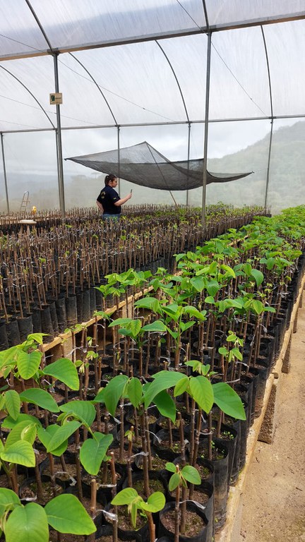 Ação do Mapa no Vale do Paraíba apreende mudas e sucos irregulares