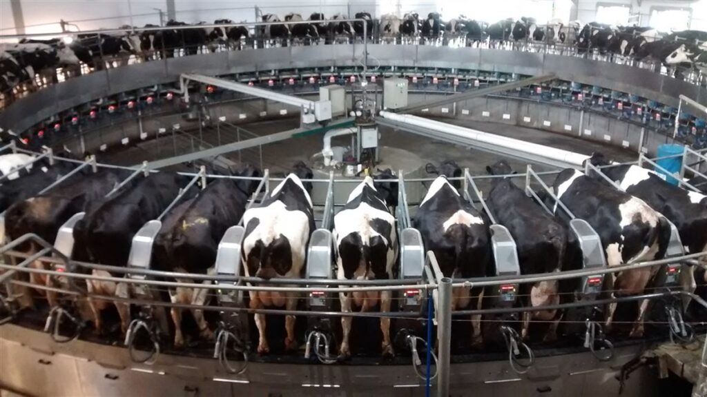 Maiores fazendas do mundo que você não conhecia