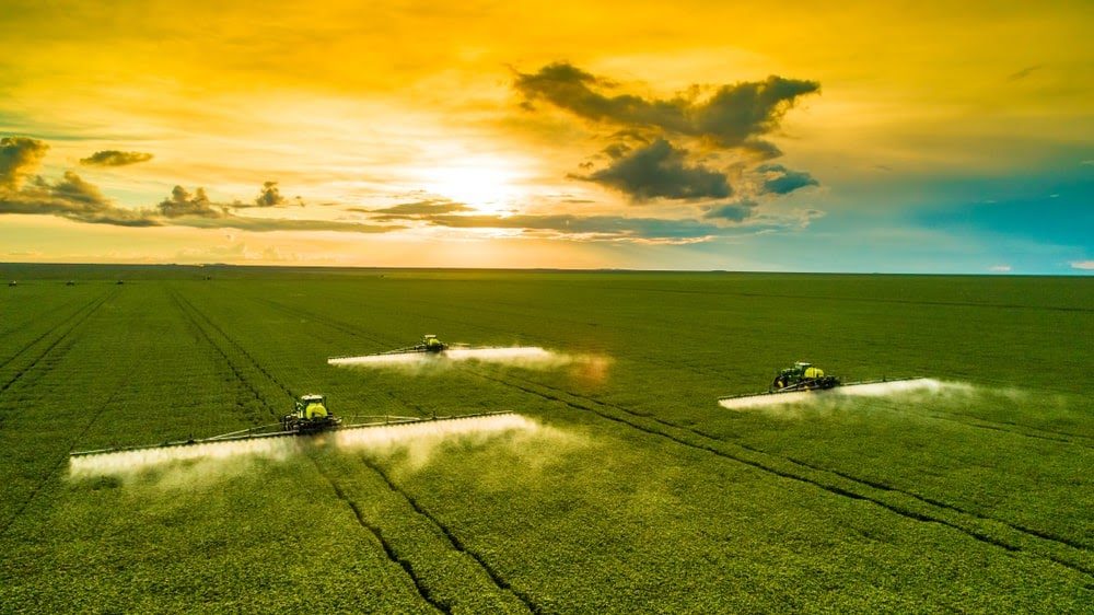 Os 10 estados que lideram a produção agrícola no Brasil em 2024