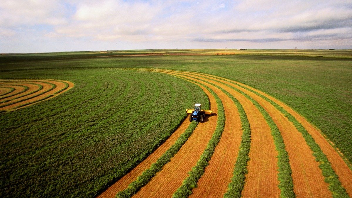 Os 10 estados que lideram a produção agrícola no Brasil em 2024
