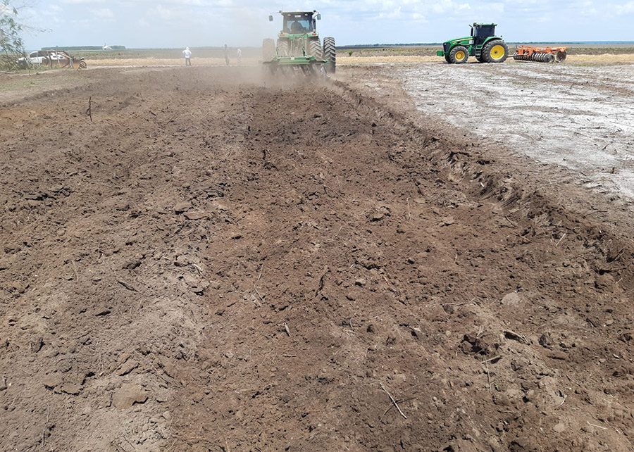 Elevadas doses de calcário turbinaram a produtividade da soja em até 30% no Matopiba