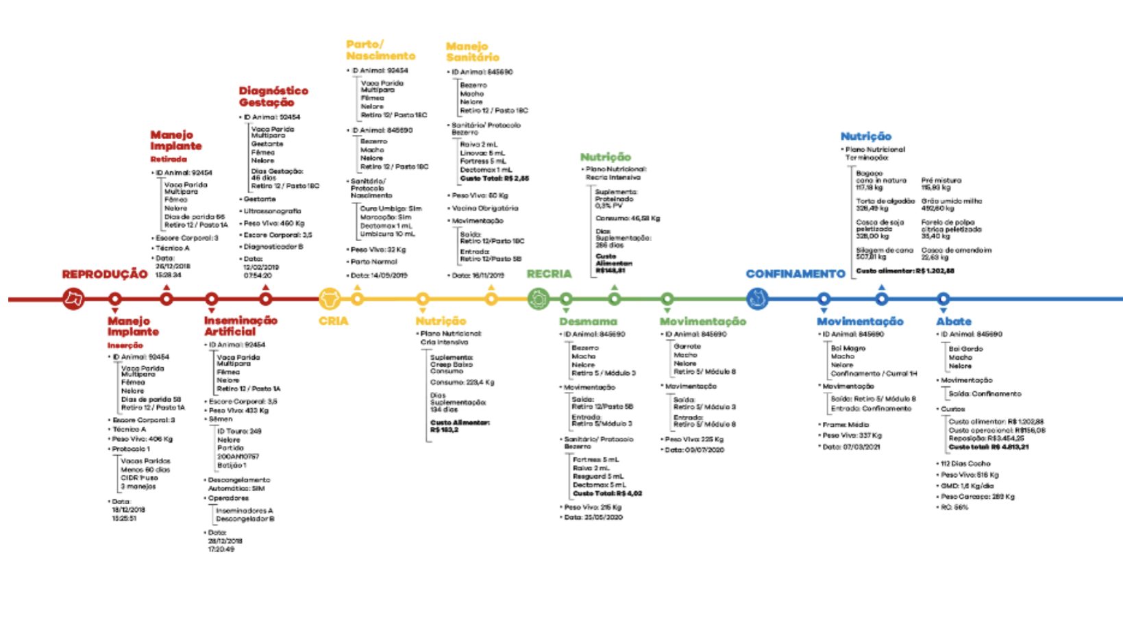 Rastreabilidade na pecuária
