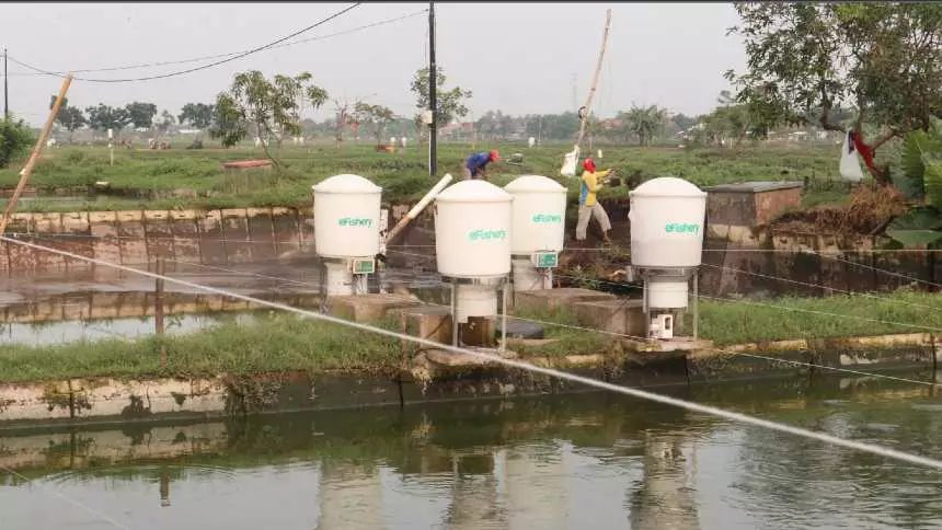 O que começou como um pequeno viveiro de peixes para ajudar a pagar a faculdade de biologia marinha, há pouco mais de uma década, evoluiu para a criação da eFishery, uma startup avaliada em mais de 1 bilhão de dólares. Conheça o bilionário que fez fortuna criando peixes.
