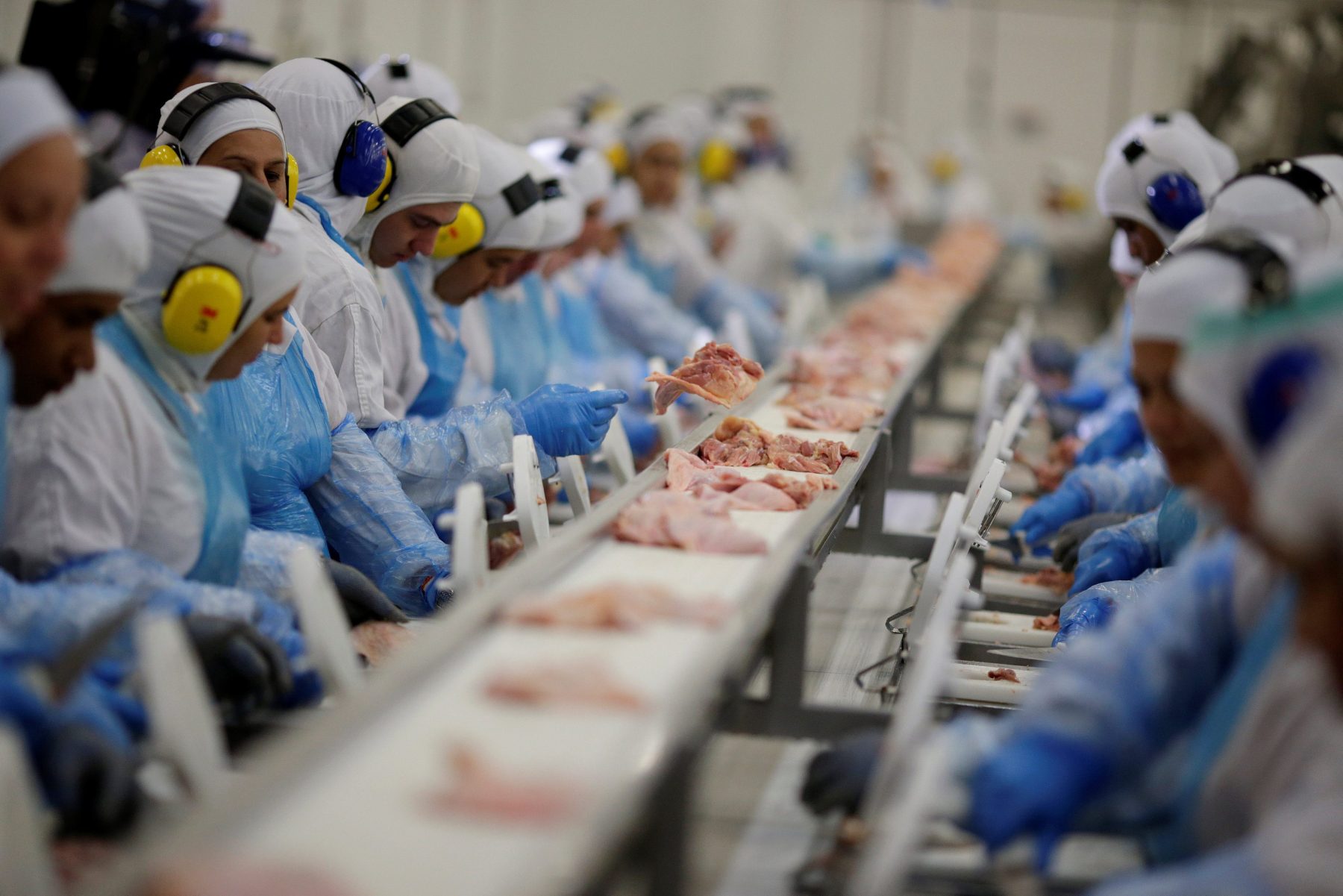 Carne bovina ganha competitividade em setembro, mas segue mais cara frente a frango e suíno