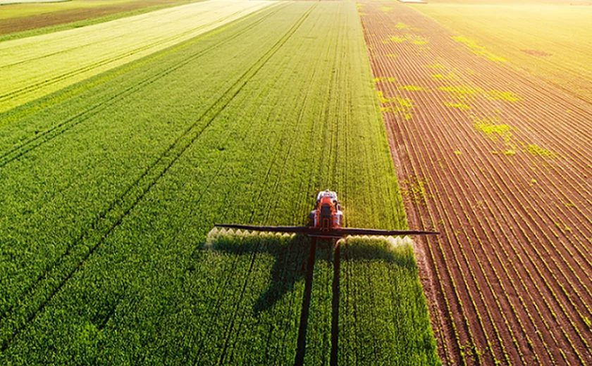 Descubra os principais desafios da Safra 2024/25 e as estratégias fundamentais para superá-los