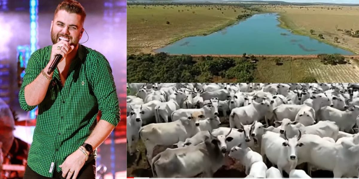 Além de ícones da música sertaneja, muitos artistas investem em propriedades rurais impressionantes, onde se dedicam a atividades no campo, como a criação de gado e o cultivo de plantas nativas.