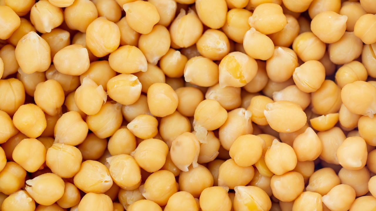 Grão-de-bico: A leguminosa promissora com potencial para substituir a carne