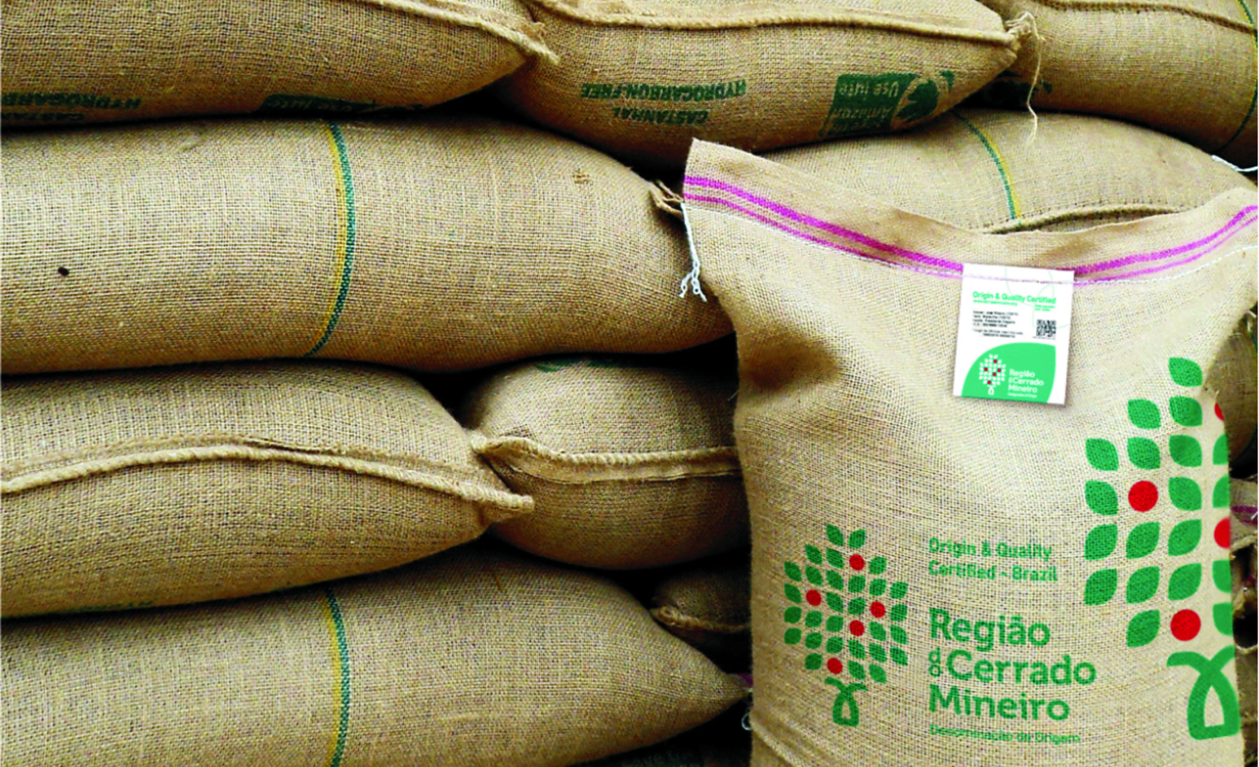 Menor disponibilidade doméstica limita exportação de café robusta
