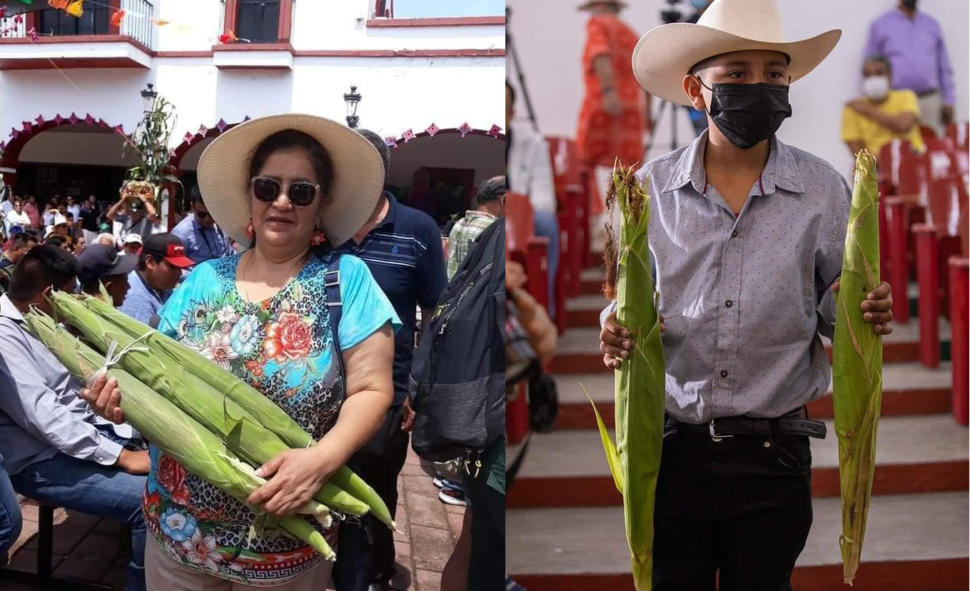 maior milho do mundo 1