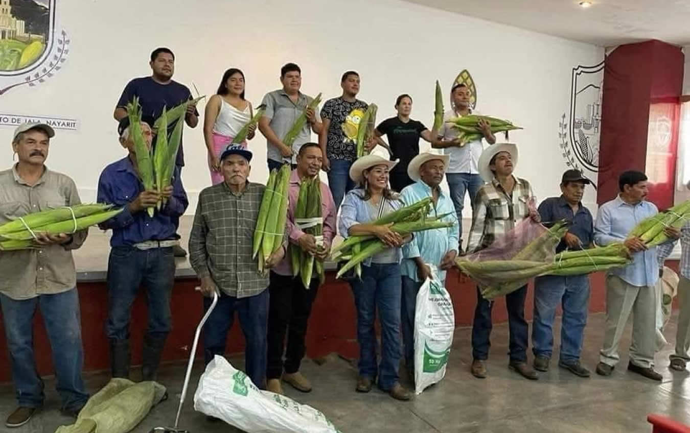 maior milho do mundo 2