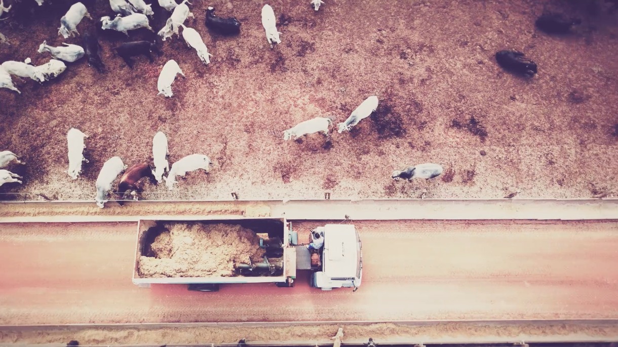 rastreabilidade na pecuaria