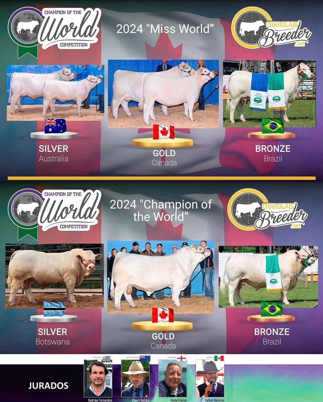 JB Miss TE 56 brilhou na disputa internacional Charolais Miss World 2024