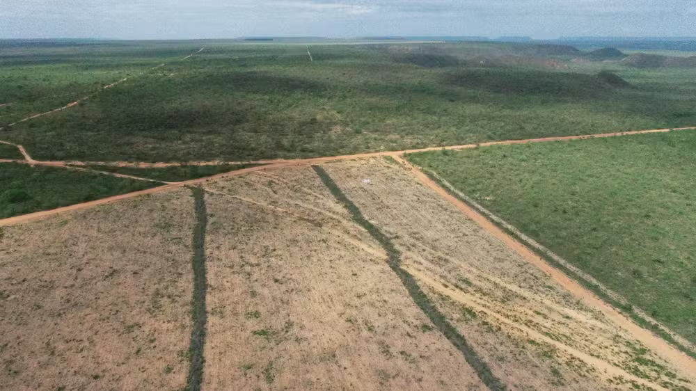  Fazendeiros foram flagrados desmatando área embargada pelo Ibama — Foto: Divulgação/Ibama 
