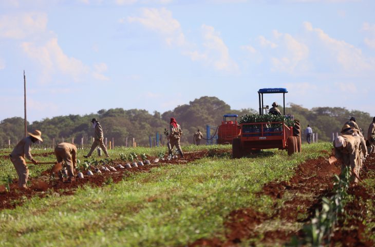 Mato Grosso do Sul, atraindo investimentos bilionários e consolidando o Estado como uma das mais promissoras fronteiras agrícolas do Brasil, já soma mais de R$ 3 bilhões em projetos de grandes nomes da citricultura.