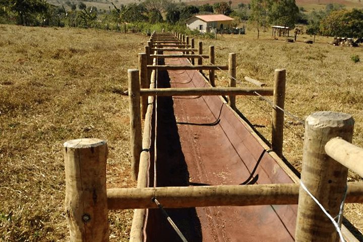 Como escolher o cocho ideal para o manejo de gado