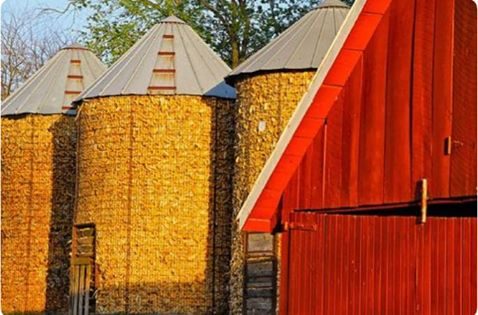 armazenamento de milho