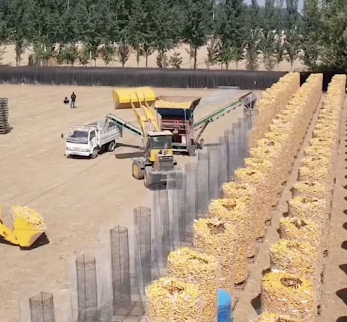 armazenamento de milho