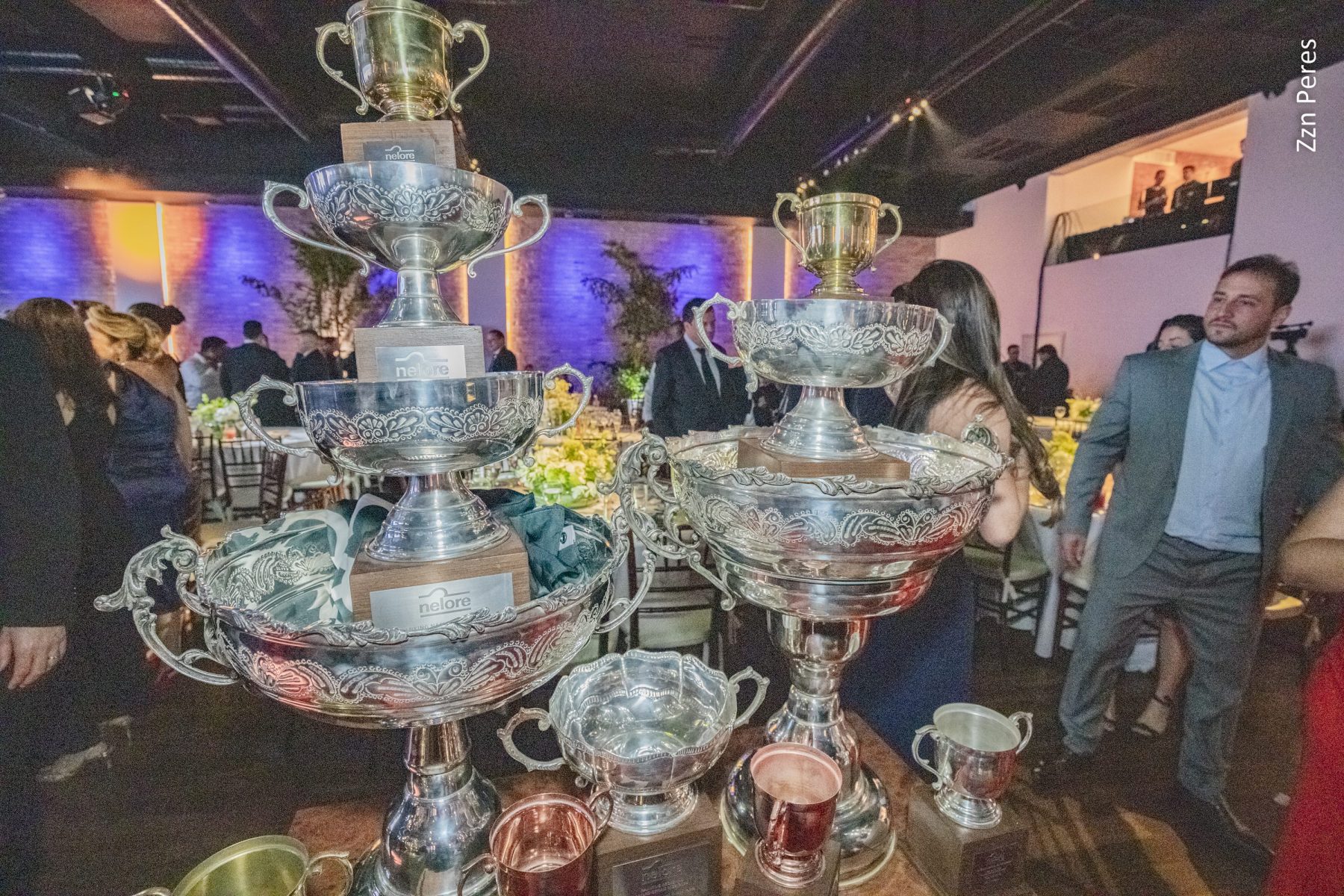 Nelore Fest 2024 premia os melhores da raça Nelore do Brasil, Bolívia e Paraguai