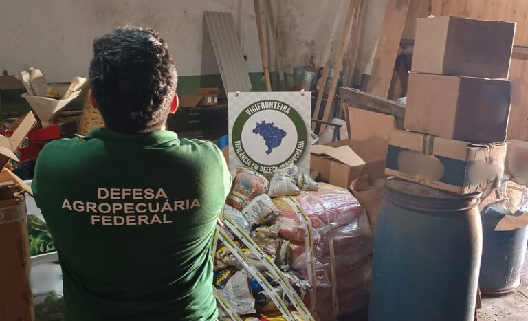 Mais de 200 toneladas de produtos irregulares são apreendidos