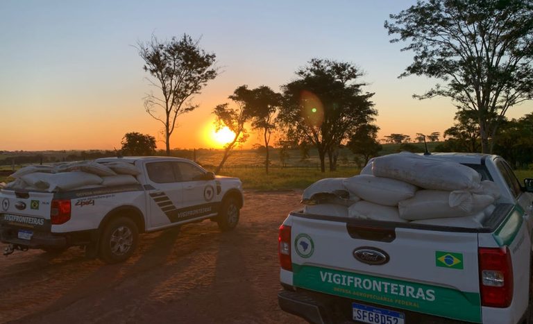 Mais de 200 toneladas de produtos irregulares são apreendidos