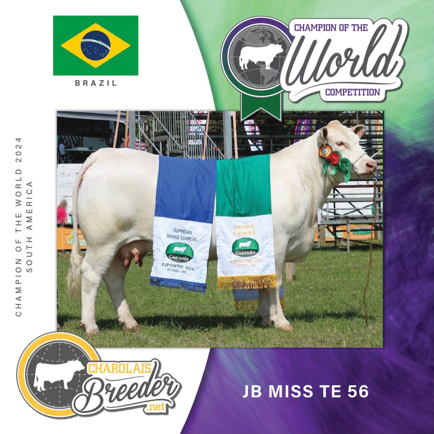 JB Miss TE 56 brilhou na disputa internacional Charolais Miss World 2024