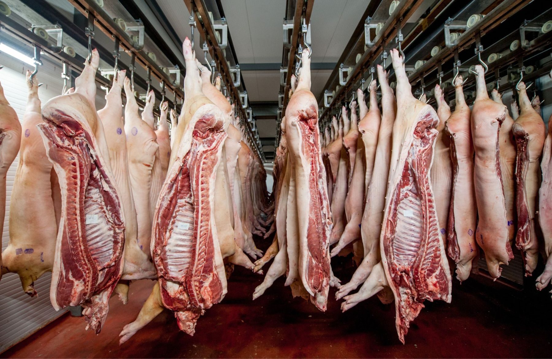 Principais momentos do agronegócio brasileiro em 2024: Os 10 fatos mais relevantes setor