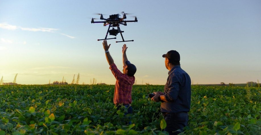 Principais momentos do agronegócio brasileiro em 2024: Os 10 fatos mais relevantes setor