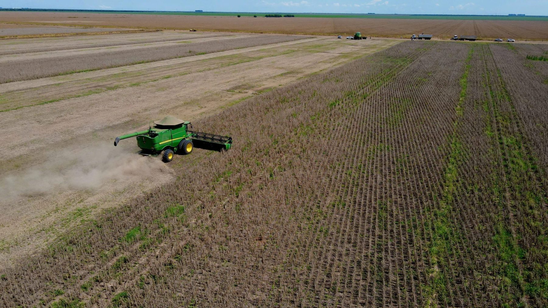 Bahia lidera produtividade de soja no mundo