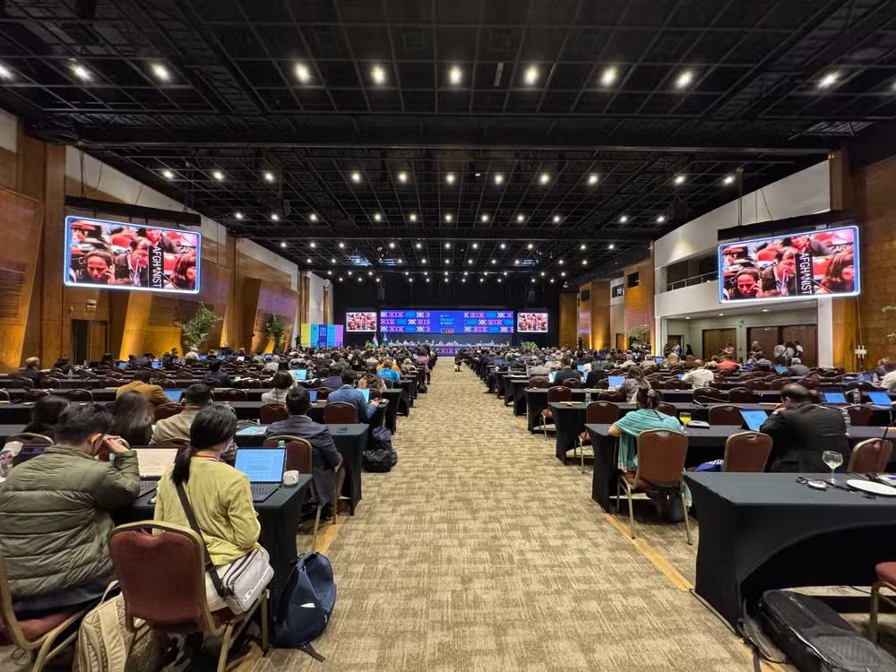 Queijo Minas Artesanal é reconhecido como patrimônio cultural da humanidade