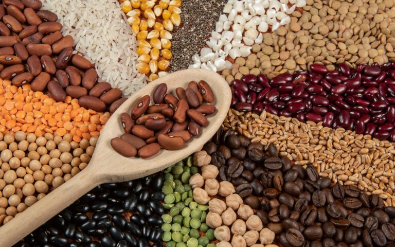 Governo do Pará extingue taxa do agronegócio para conter inflação dos alimentos