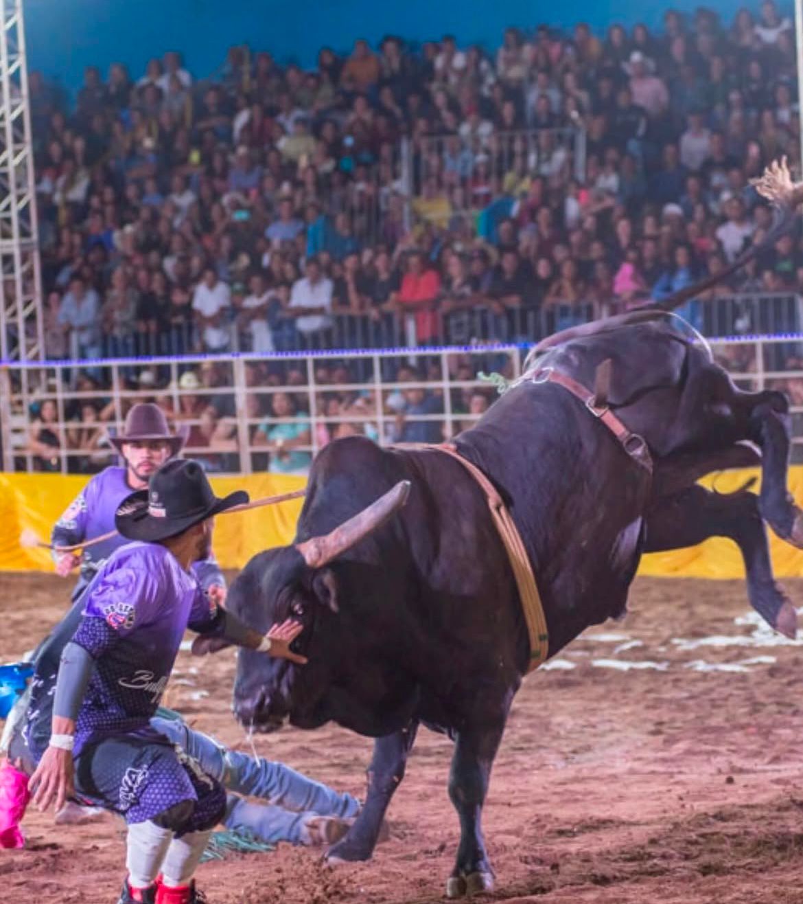 Gêmeos do BBB 25 são salva-vidas de rodeio; conheça mais a profissão