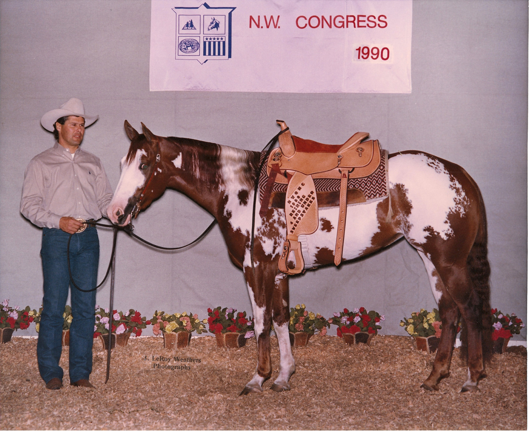 bob avila 1990 miss_modern_art