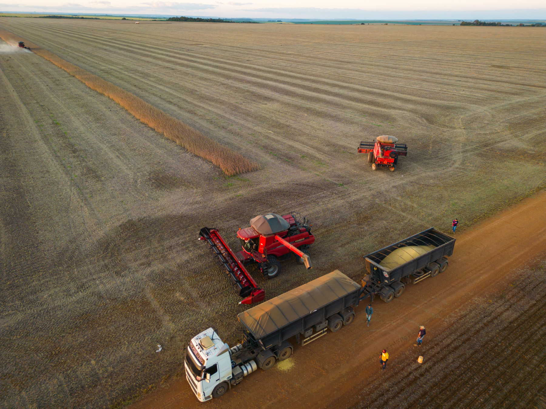 colheitadeira descarregando soja no caminhao - fotao 2