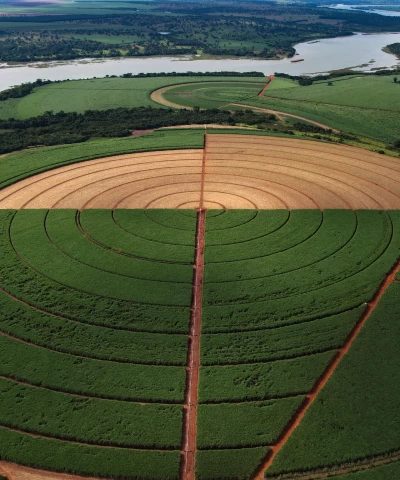 Gigante da cana ganha R$ 480 milhões do BNDES para ampliar produção de etanol
