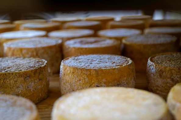 Três queijos brasileiros estão entre os melhores do mundo; descubra quais são