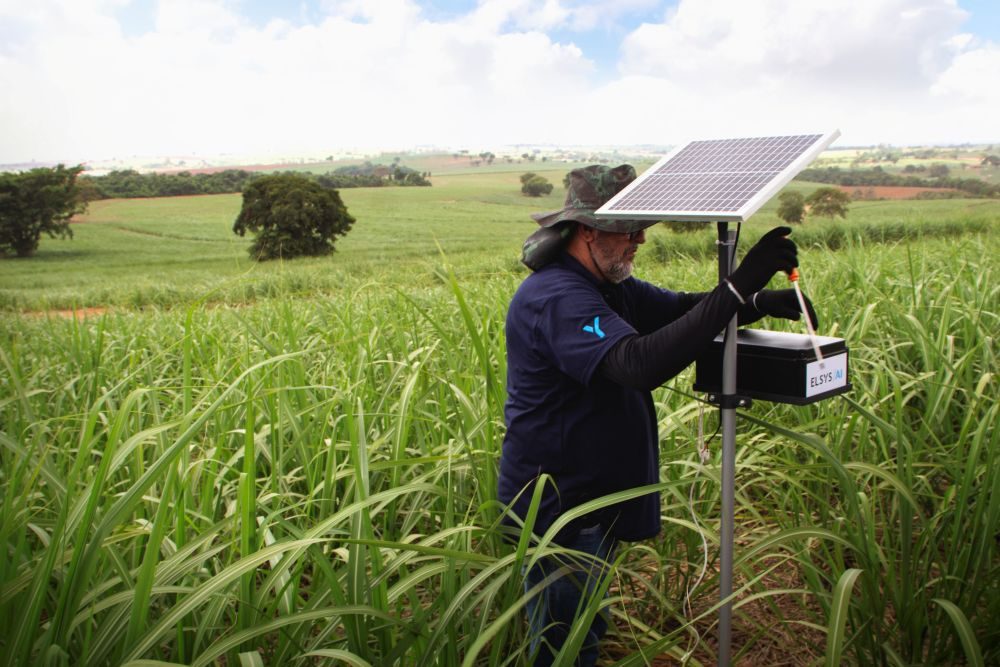 Parceria vai levar conectividade e tecnologia digital para manejo de pragas em pequenas e médias propriedades