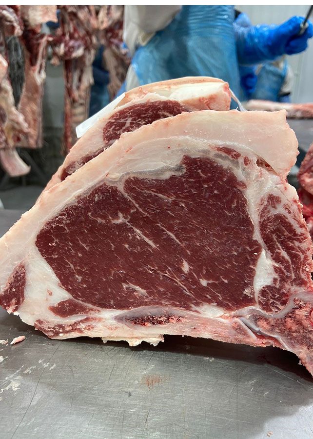 impressão digital da carne gaúcha