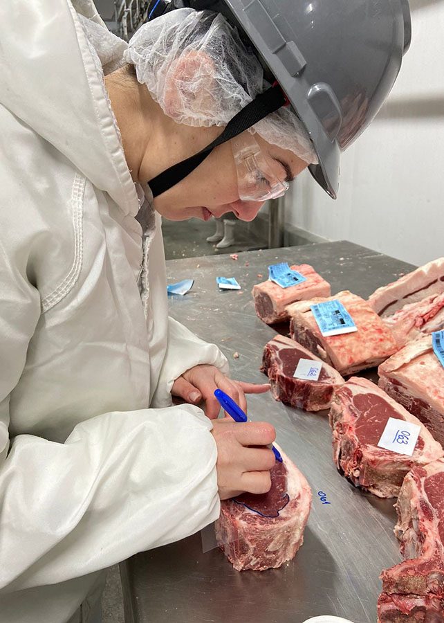 impressão digital da carne gaúcha