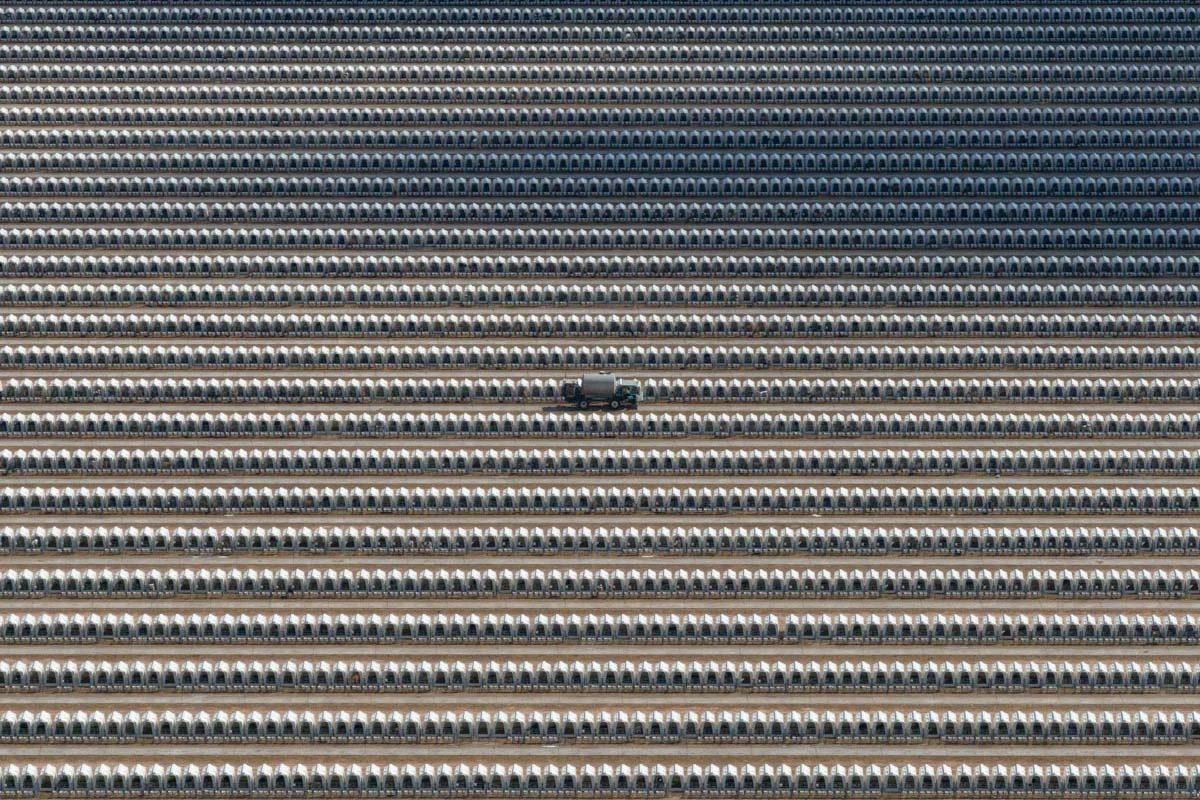 criação de bezerros em cabanas individuais