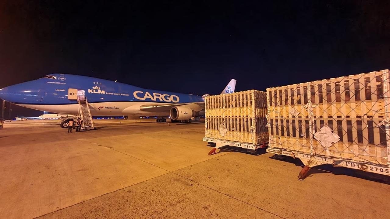 Suínos brasileiros de elite